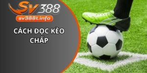 cách đọc kèo chấp
