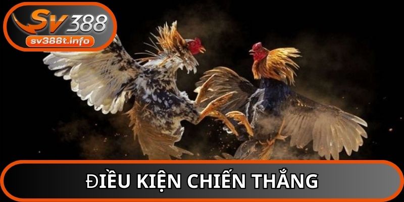 Nắm rõ điều kiện chiến thắng trong đá gà cựa sắt