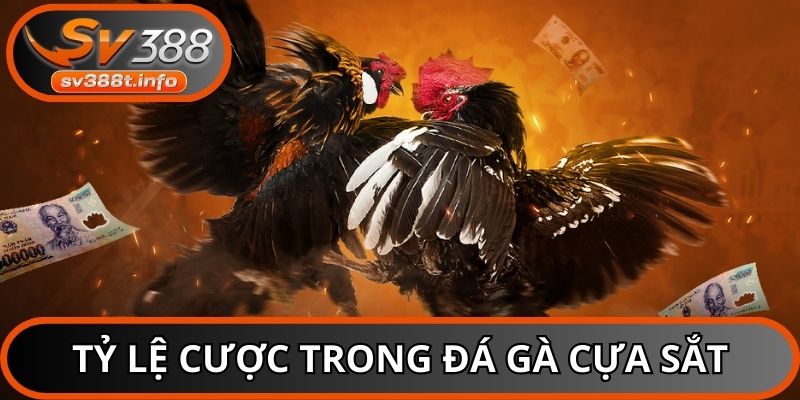 Tỷ lệ cược trong đá gà cựa sắt tại SV388 được quy định rõ