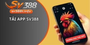Tải App Sv388